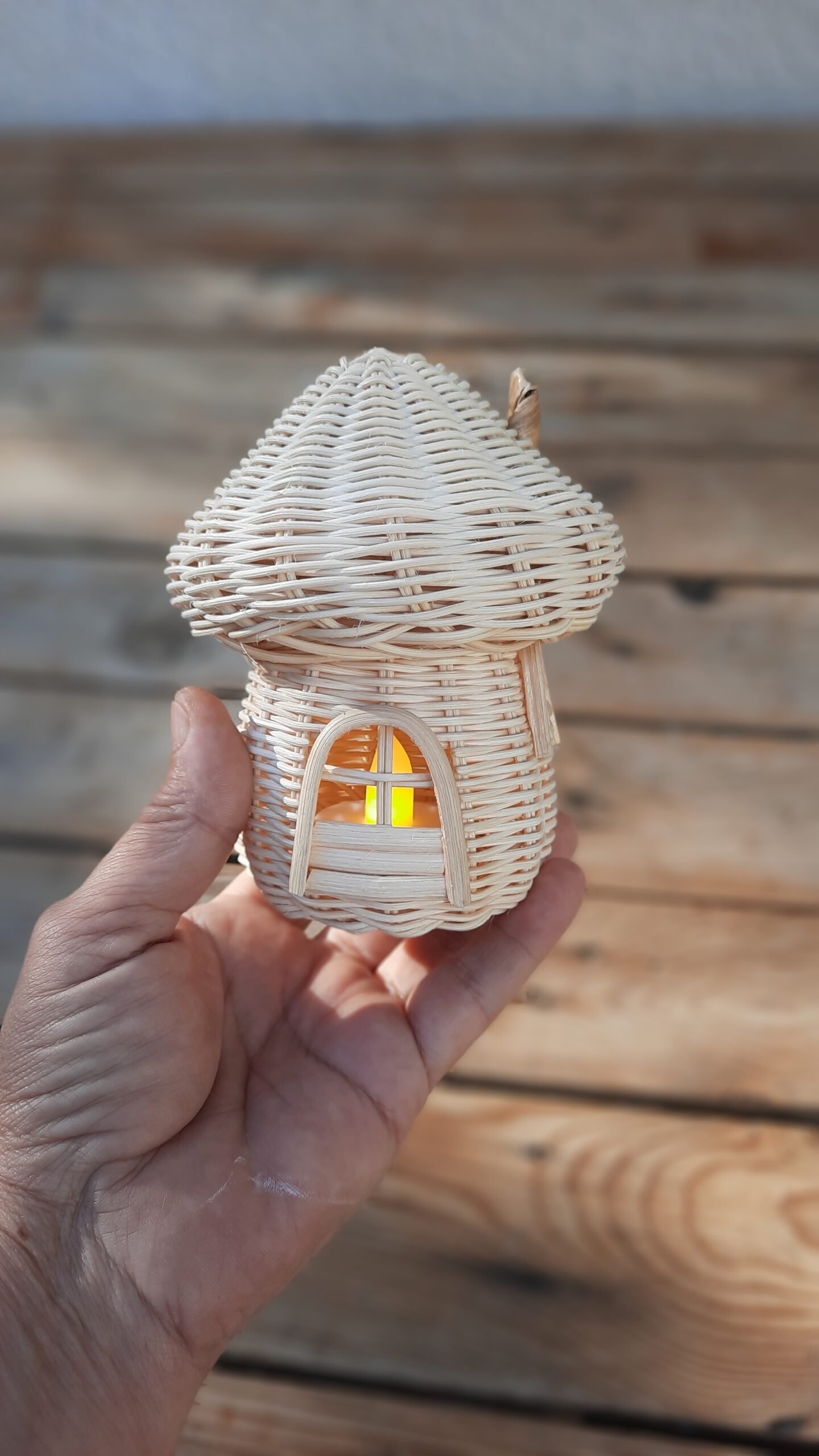 RATTAN ŞİRİN EV