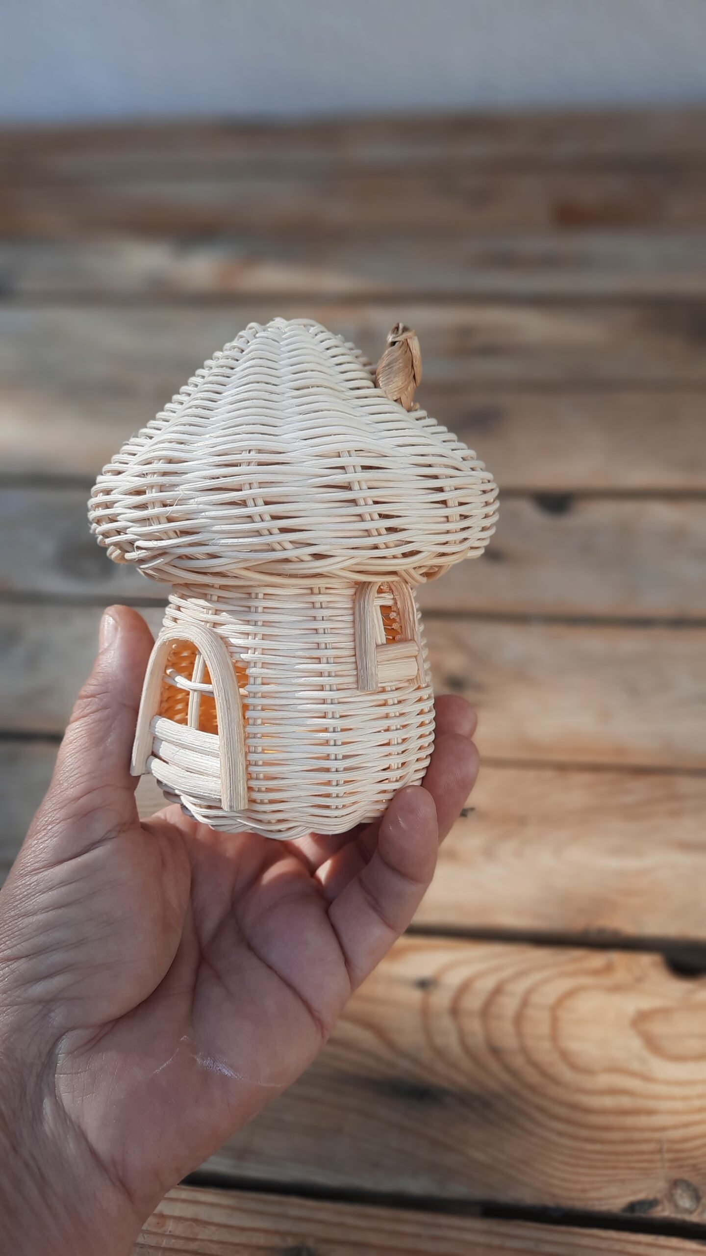 RATTAN ŞİRİN EV