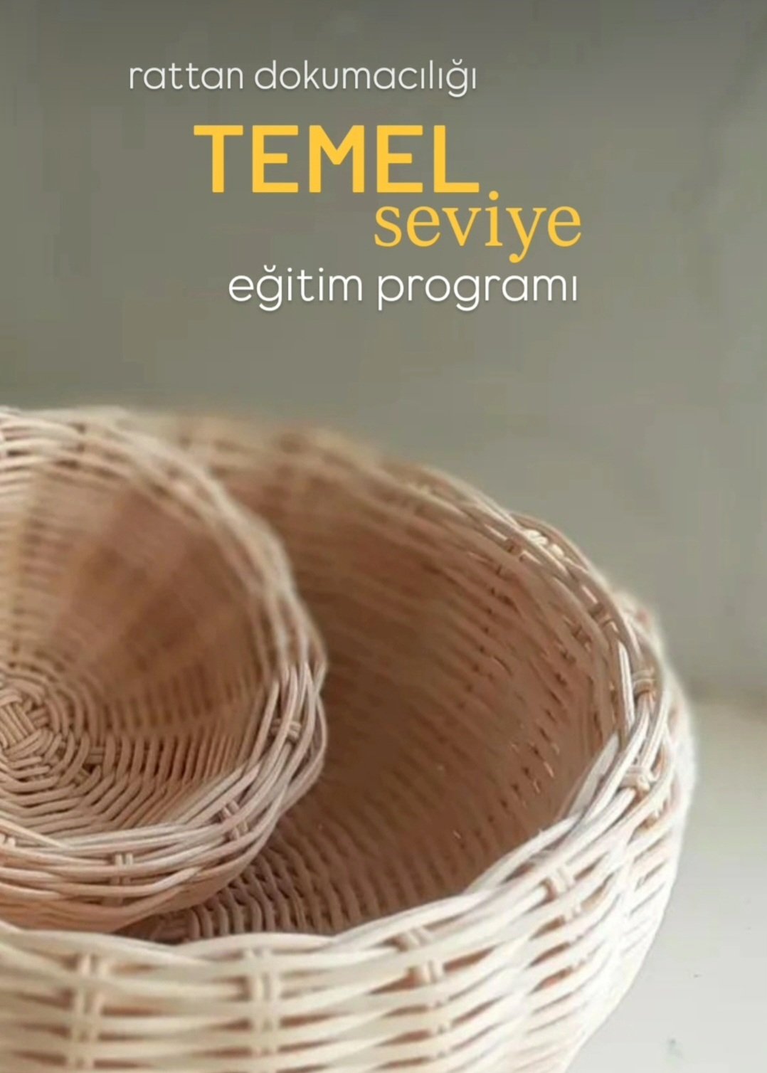 TEMEL SEVİYE EĞİTİM PROGRAMI