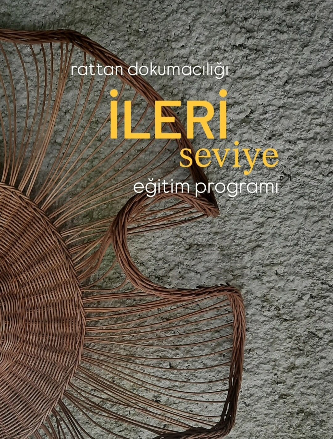 İLERİ SEVİYE EĞİTİM PROGRAMI