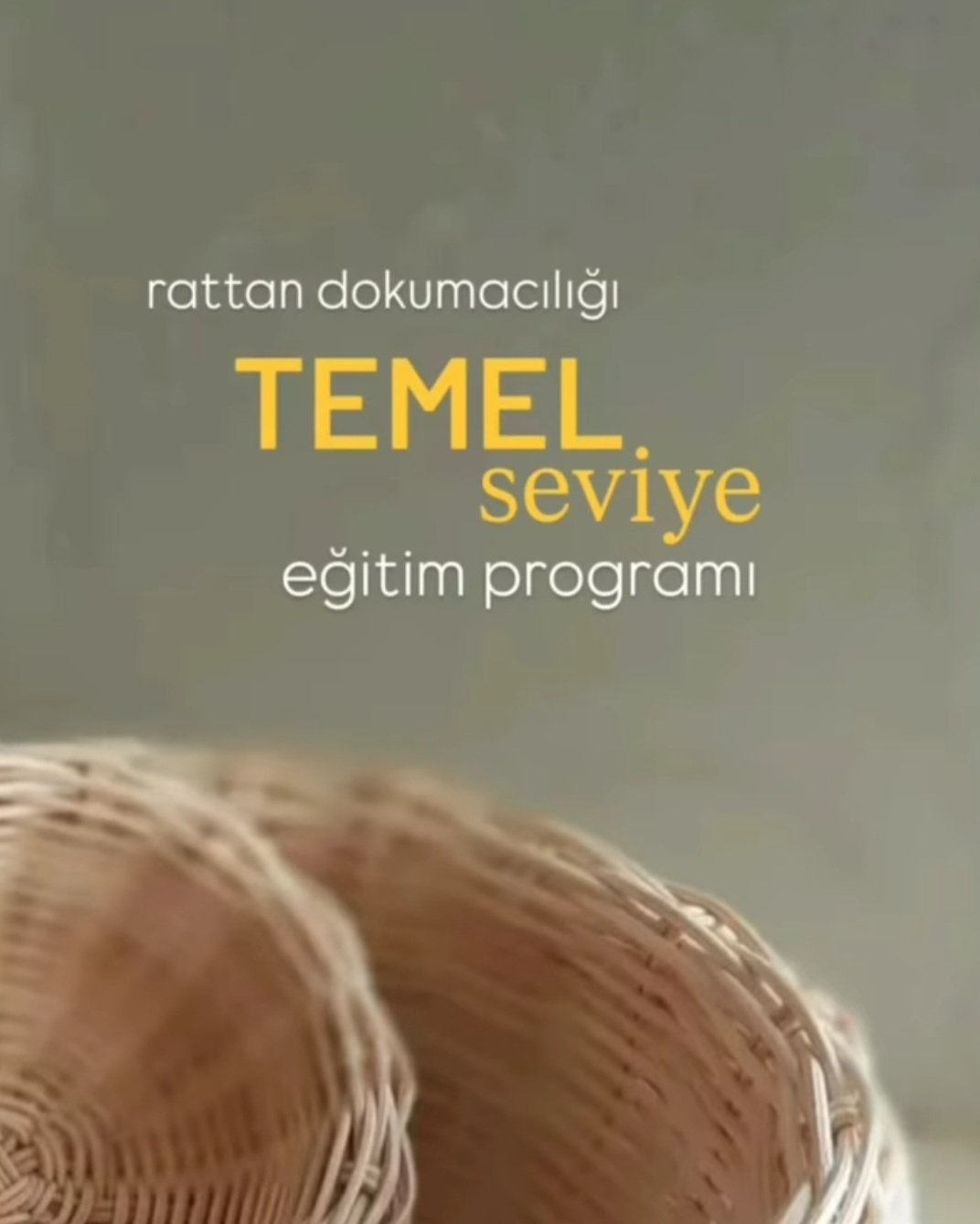 TEMEL EĞİTİM PROGRAMI