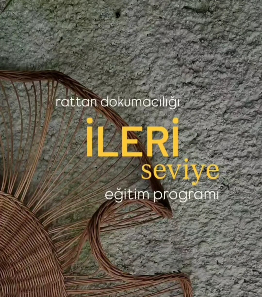 İLERİ SEVİYE EĞİTİM PROGRAMI